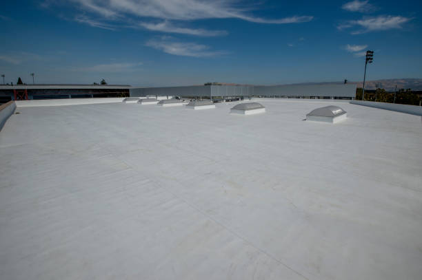 Best Rubber Roofing (EPDM, TPO)  in Stewartville, MN