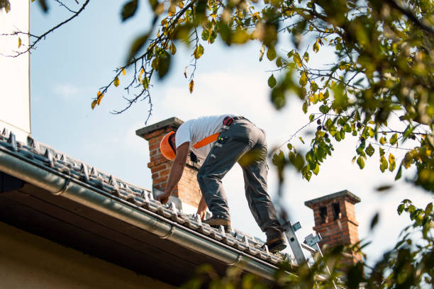 Best Emergency Roof Repair Services  in Stewartville, MN