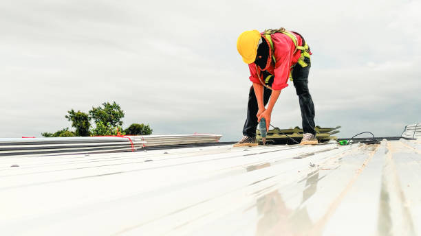 Best Roof Maintenance and Cleaning  in Stewartville, MN