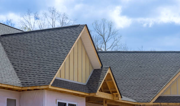 Best Asphalt Shingle Roofing  in Stewartville, MN