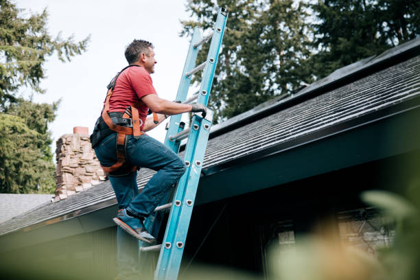 Best Roof Insulation Installation  in Stewartville, MN