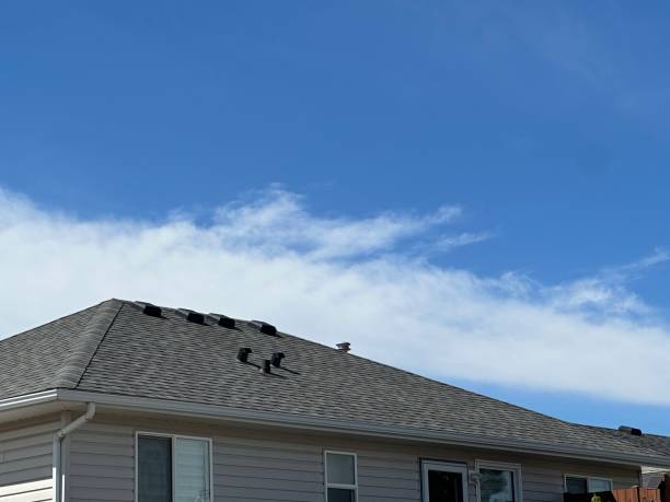 Professional Roofing Service in Stewartville, MN