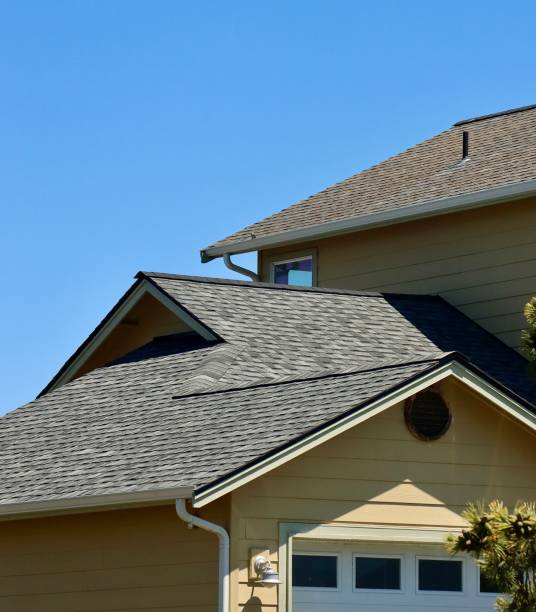 Professional Roofing Service in Stewartville, MN